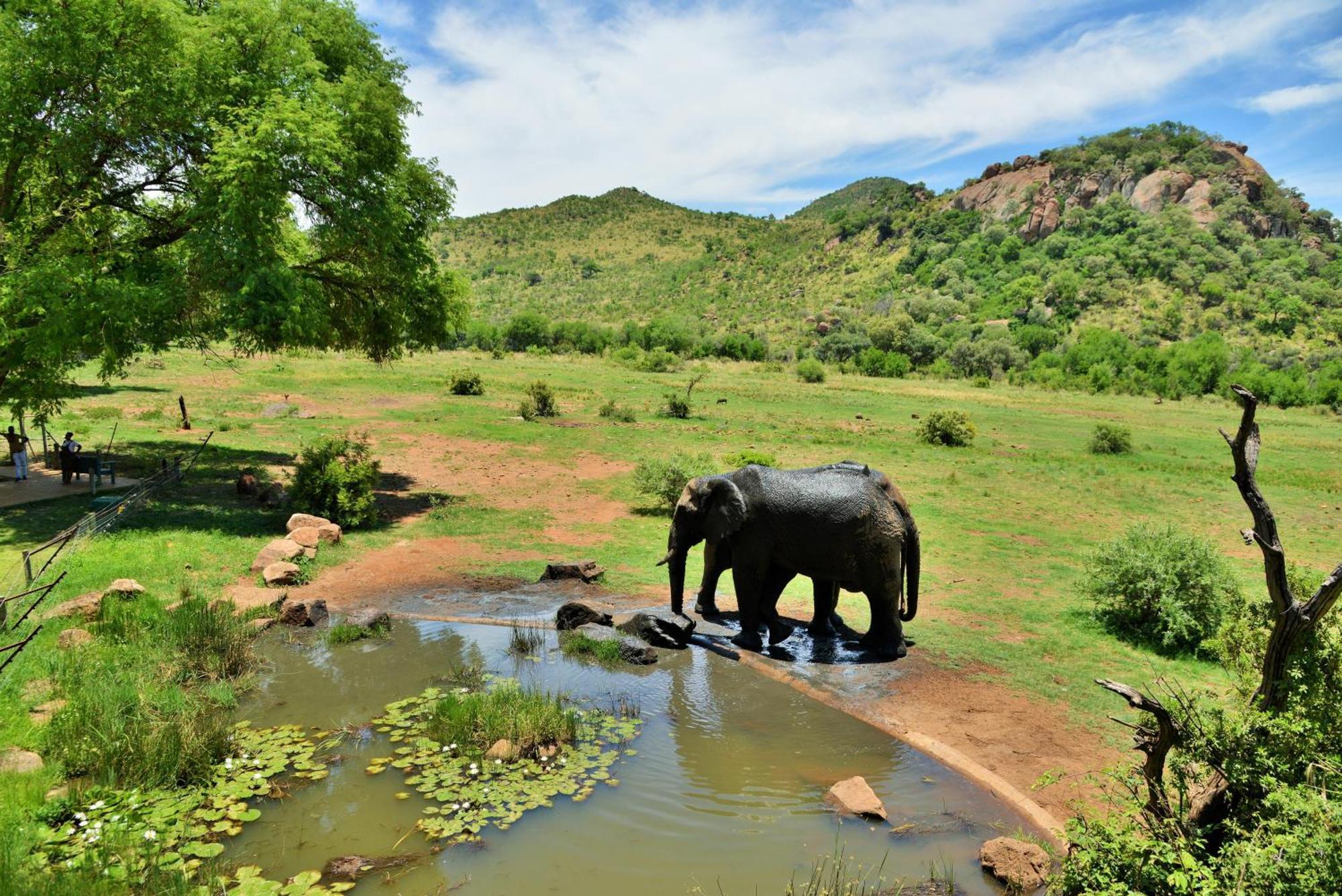 Kwa Maritane Lodge Ledig Eksteriør billede