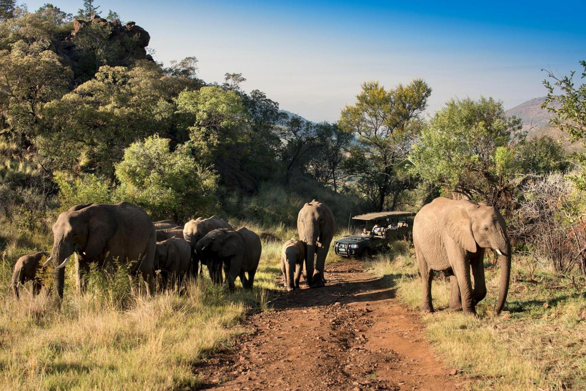 Kwa Maritane Lodge Ledig Eksteriør billede